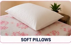 Soft pillow in Masters Ladies PG room